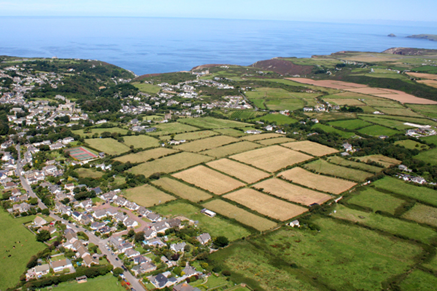 St Agnes Smallholdings - Barry Gamble